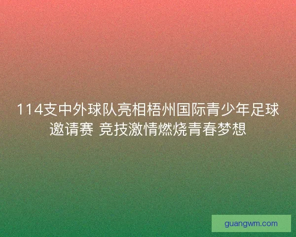 114支中外球队亮相梧州国际青少年足球邀请赛 竞技激情燃烧青春梦想
